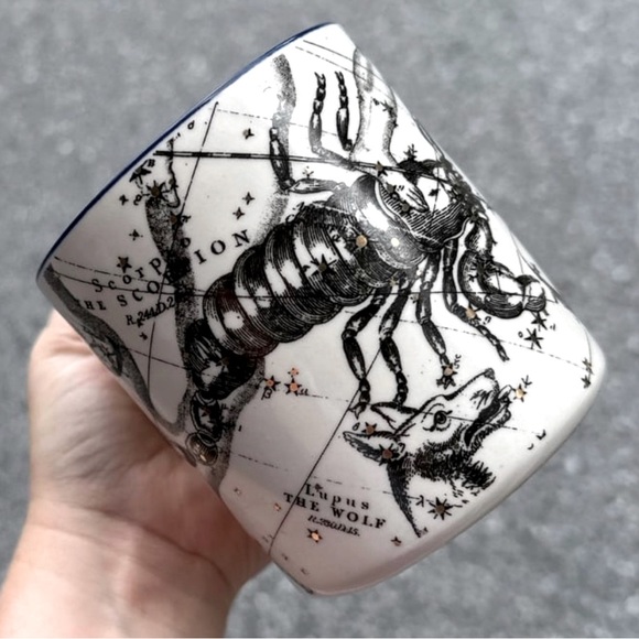 Anthropologie Other - Salt and Earth for Anthropologie SCORPIO Mug